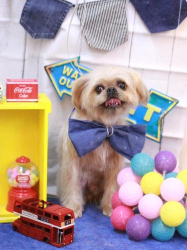 20230423ムーくん